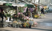 Flower stalls