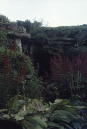 THE ROCK GARDEN, KEW