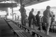 A young lady in the stand
