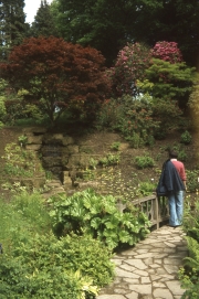 JOHN CARTWRIGHT BY THE ROCK GARDEN