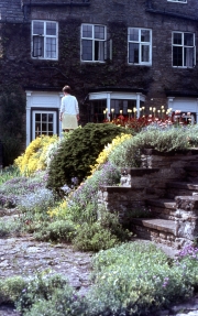 ROCK GARDEN