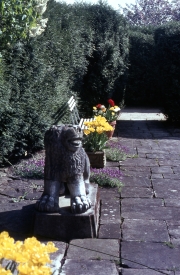 PAVED GARDEN
