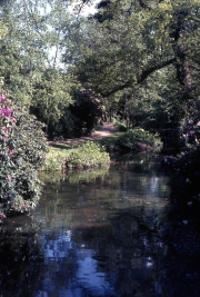 THE STREAM