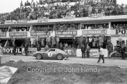 #3 Aston Martin DB4 GT Zagato (Lex Davison and Bib Stillwell)