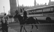 Mounted Police in Parliament Square