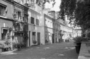 Mews
