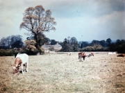 Heathencote Farm