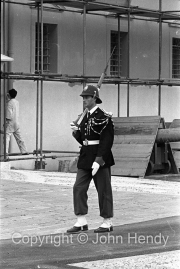 Policeman/Soldier