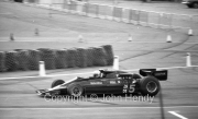 F1 - #5 Lotus-Cosworth (Mario Andretti)
