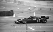 F1 - #5 Lotus-Cosworth (Mario Andretti)
