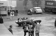 Sportscars - #34 Group + D-Type Jaguar (Roy Salvadori) in the paddock