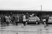 Minis before demonstration