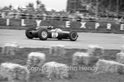 Formula 1 - #11 Lotus 24 - Climax V8 (Jim Clark)