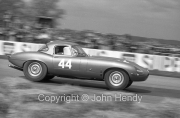 GT Cars - #44 Jaguar E-Type 3781cc (Roy Salvadori)
