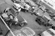 #26 Triumph TR3 1991 cc - SA Hurrell
