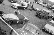 #26 Triumph TR3 1991 cc - SA Hurrell