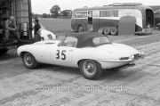 Touring cars - #35 Jaguar E-type Lightweight (Roy Salvadori) in the paddock
