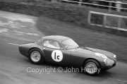 Team #1 Club Lotus All Sorts, Car C - Lotus Elite