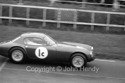 Team #1 Club Lotus All Sorts, Car C - Lotus Elite