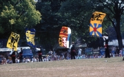 Belgian flag wavers