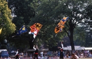 Belgian flag wavers