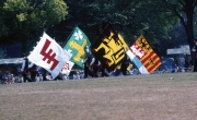 Belgian flag wavers