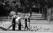 Bowls
