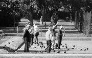 Bowls