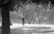 Across the park