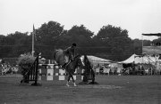 Show jumping