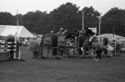 Show jumping