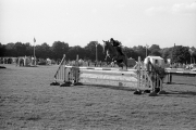 Show jumping