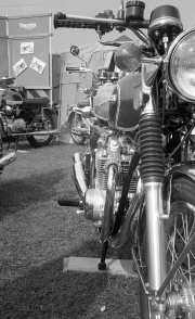 Borough Show