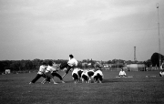 Borough Show