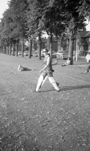 Ladies Cricket