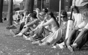 Ladies Cricket