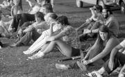 Ladies Cricket