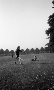 Ladies Cricket