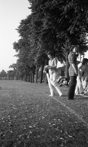 Ladies Cricket