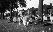 Ladies Cricket