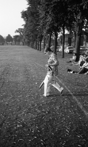 Ladies Cricket