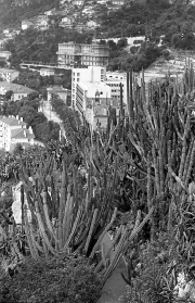 Jardin Exotique