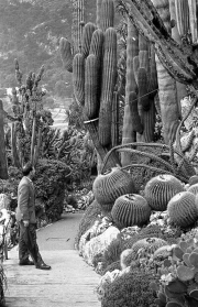 Jardin Exotique