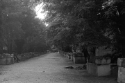 Les Alyscamps