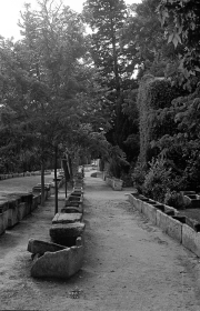 Les Alyscamps