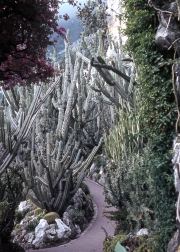 Jardin Exotique