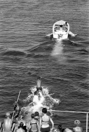 Water-skiing