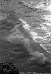 Waves breaking in the bay
