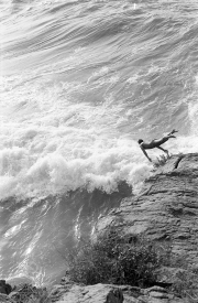 Diving into the waves