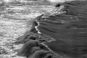 Waves in the bay